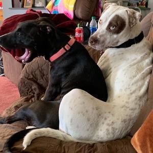 Meet your Posher, Jackie